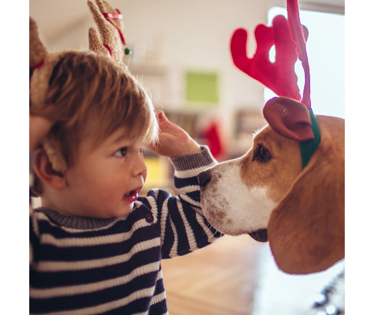 Five gift ideas that save energy