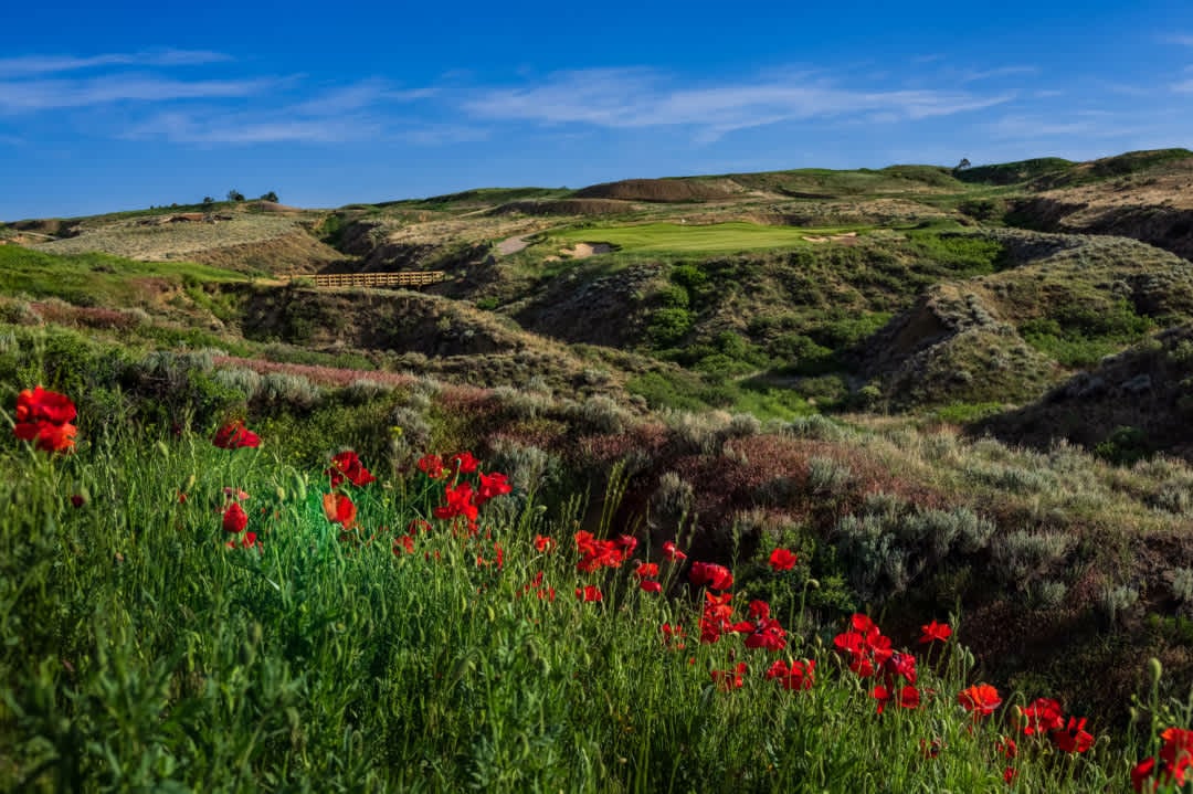 RainDance National Golf Course