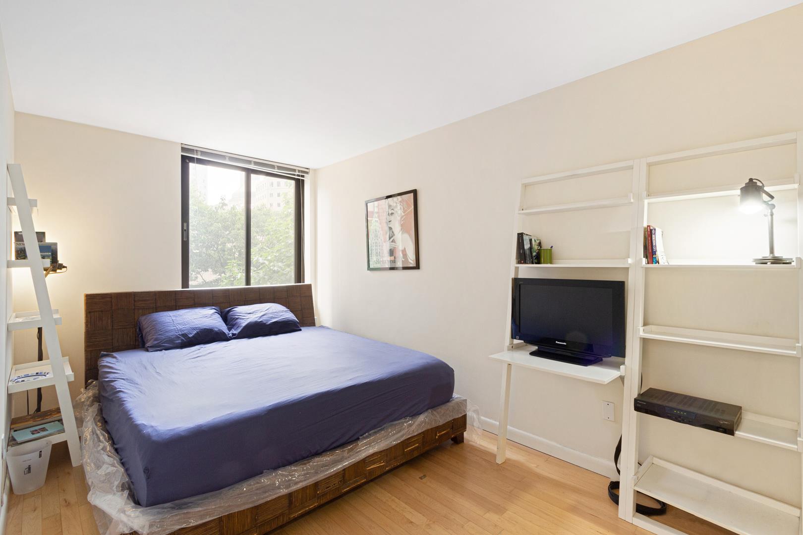 300 Albany Street, Apt 3-E