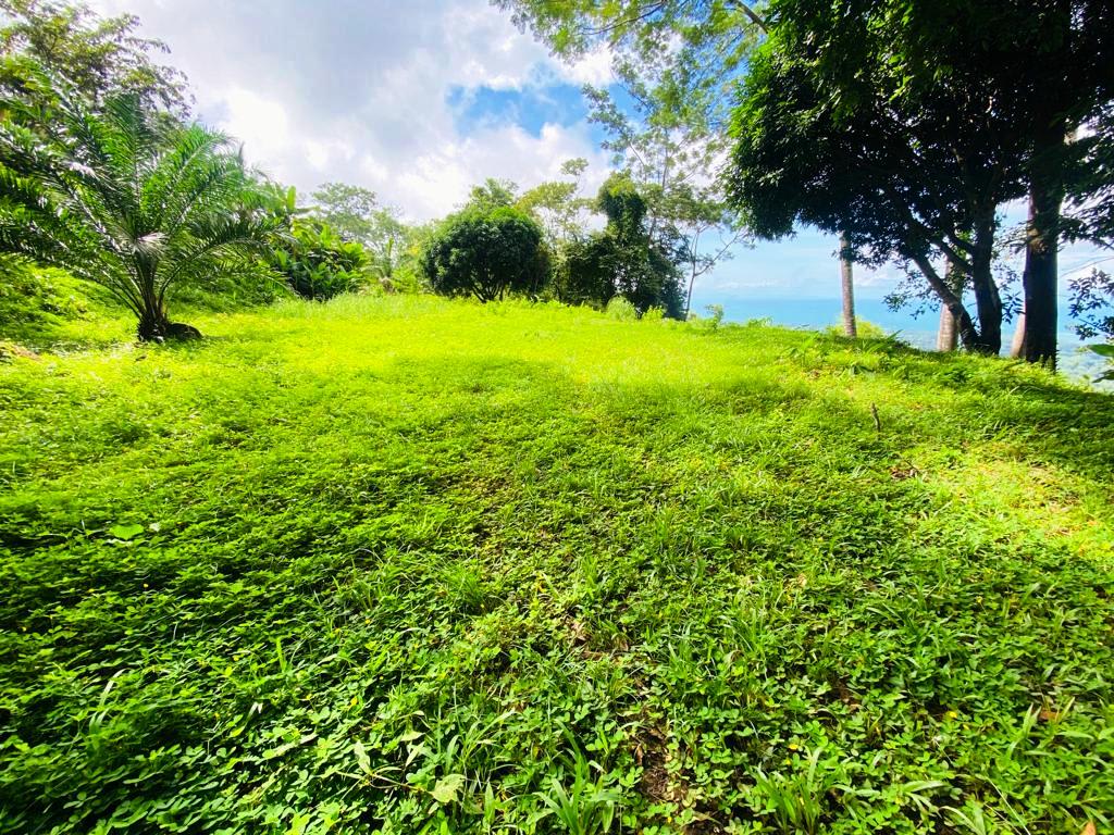 Gorgeous 1.43 Acres in Uvita Costa Rica Your Slice of Paradise Awaits
