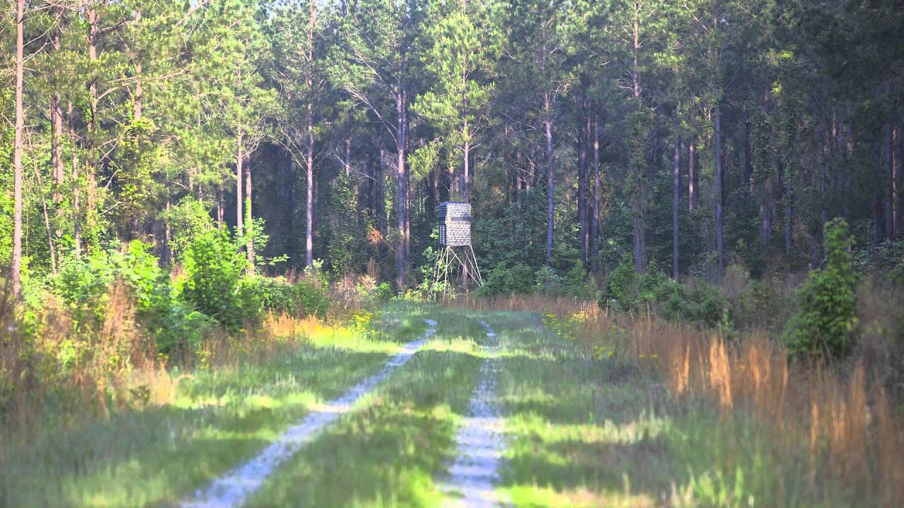 Roanoke River NC farm for Sale near Plymouth