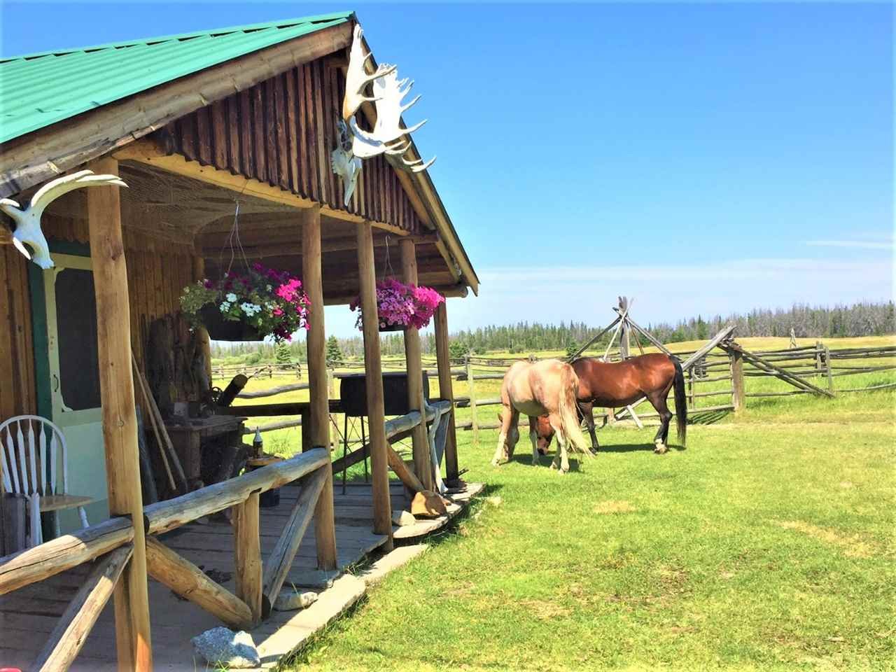 7800 Farwell Canyon Road, Williams Lake