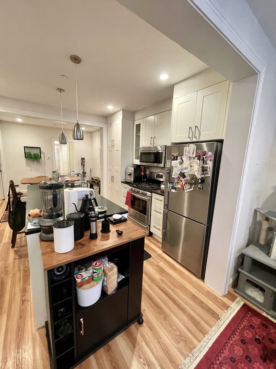 Mass Ave @ Washington - South End 2.5 Bed 2.5 Bath w. Private Patio, Laundry and Central Air! 7/1