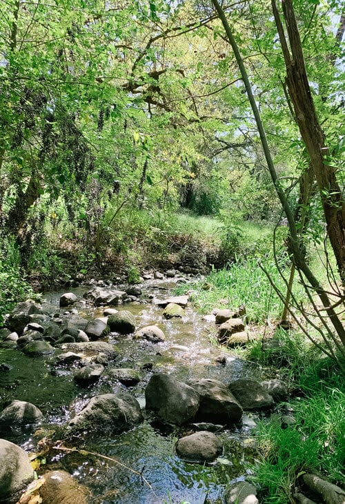 Folsom's Hinkle Creek Nature Trail