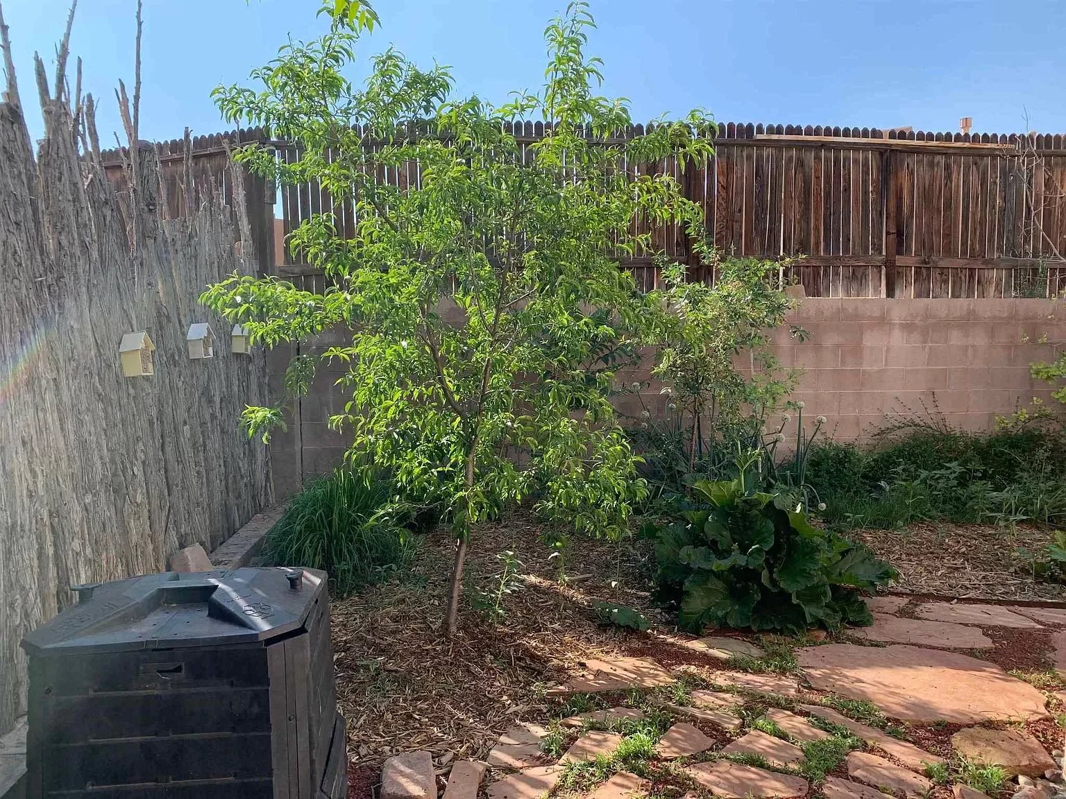 6956 Golden Mesa
