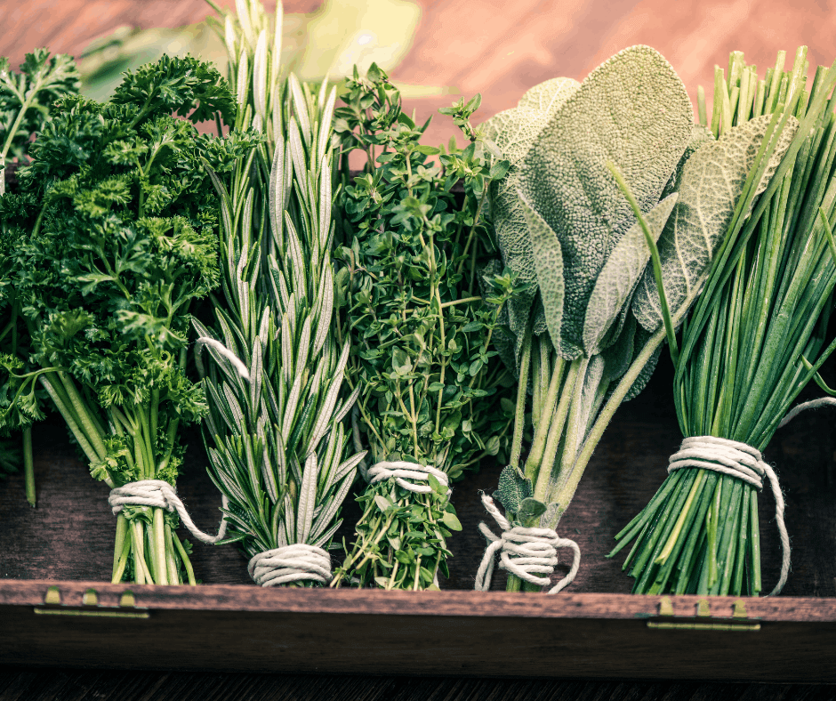 Easy-To-Grow Herb For Your Home