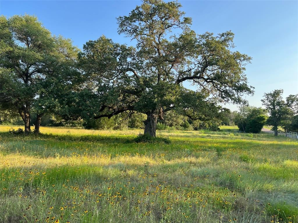 647 N Nassau Rd Round Top, Tx 78954