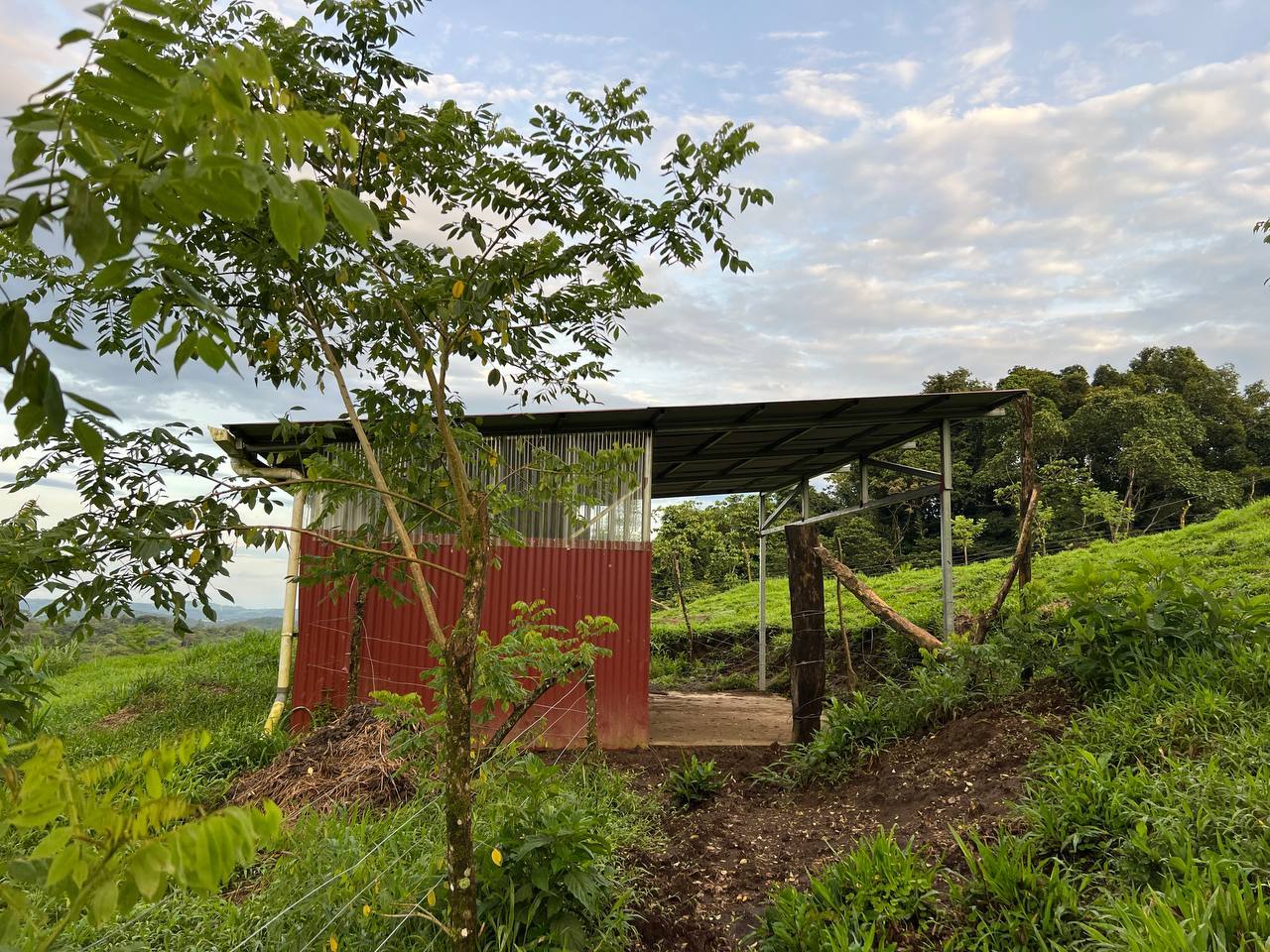 Permaculture Food Forest Land, Lake Arenal, Alajuela
