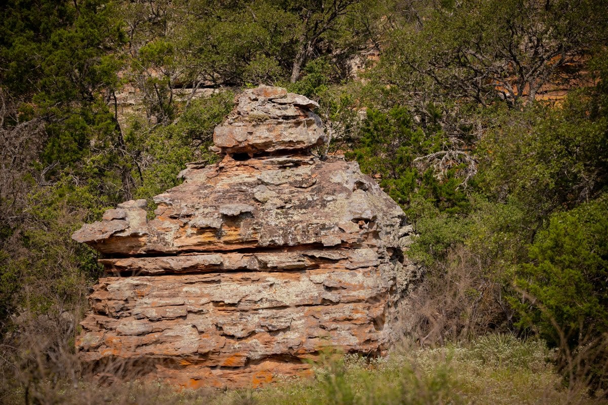 Packsaddle Ranch