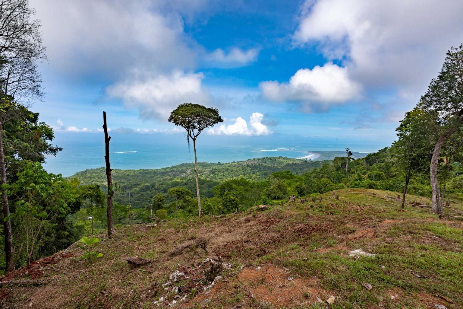 Rare Opportunity: Pristine 16-Acre Oceanview Sanctuary for Exclusive Development in Uvita
