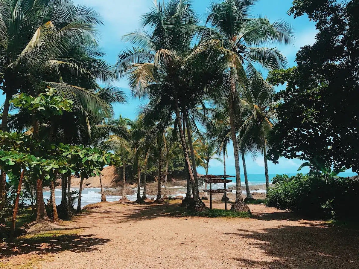 Ocean Views Across From Playa Dominicalito