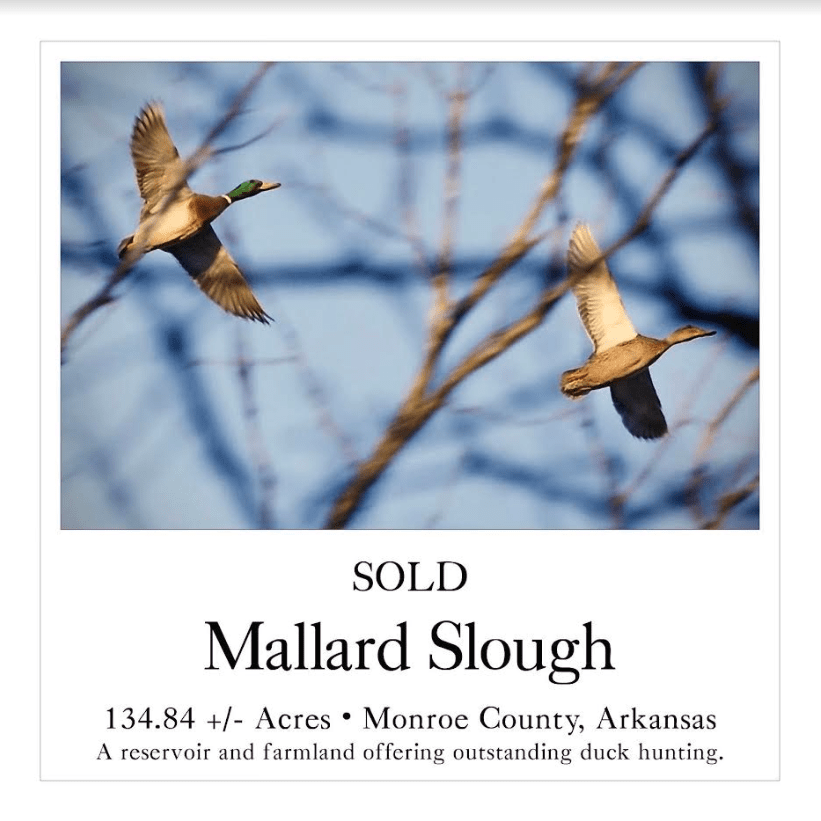 Mallard Slough