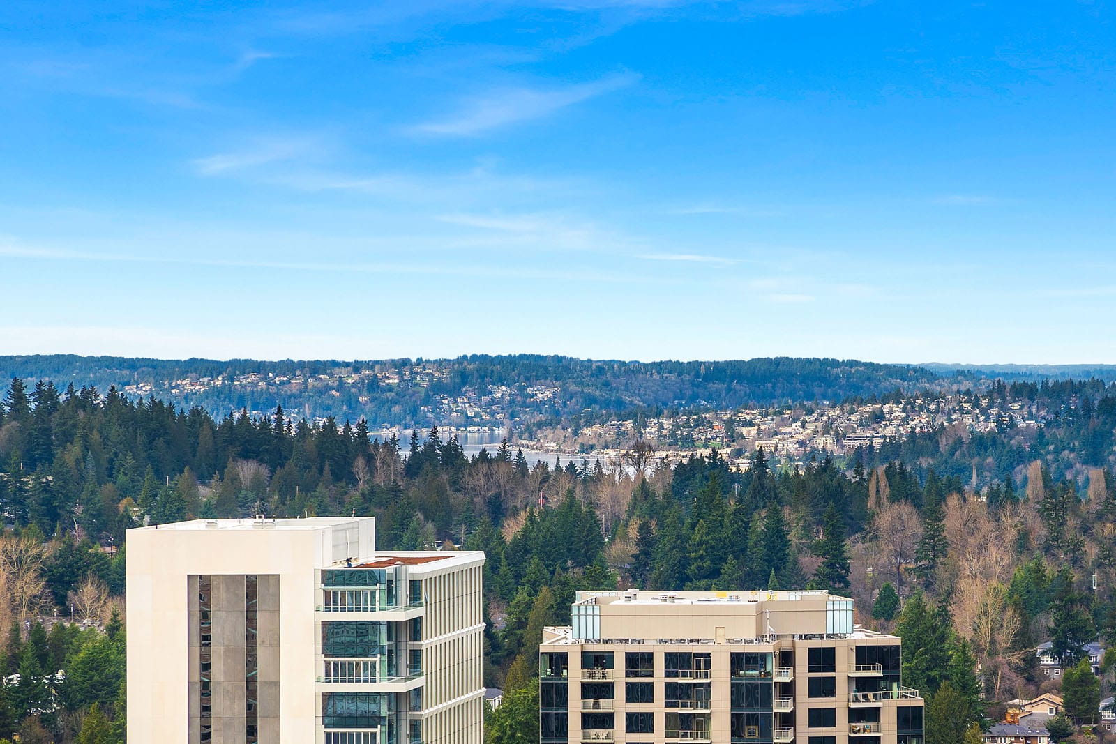 10700 NE 4th St, Unit 3508