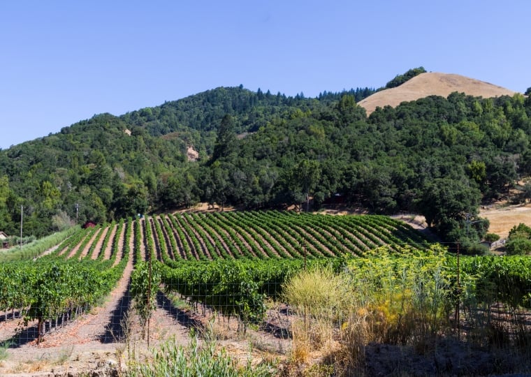 Santa Rosa