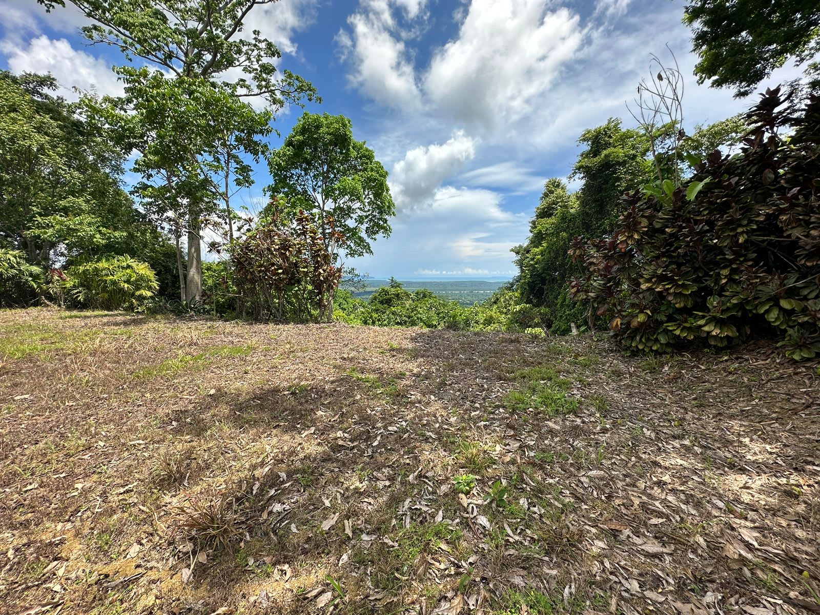 Ocean View Lot Priced to sell