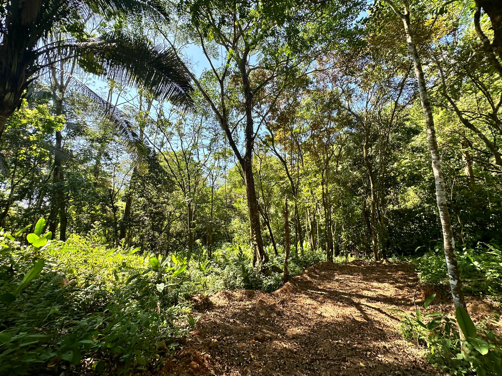 Your Dream Coastal Retreat Awaits: Prime Investment Opportunity in Playa Hermosa, Bahía Ballena