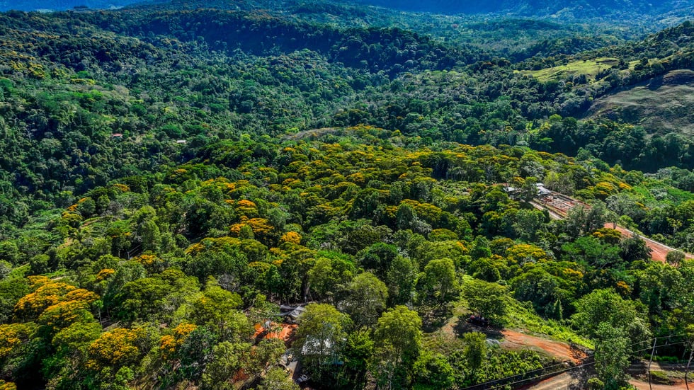 WATERFALL VIEW HOMESITES AND NATURE COMMUNITY PLAYA DOMINICAL