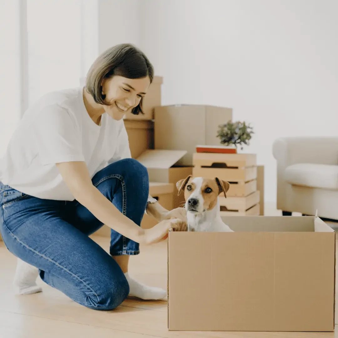 Make Moving With Pets Stress-Free