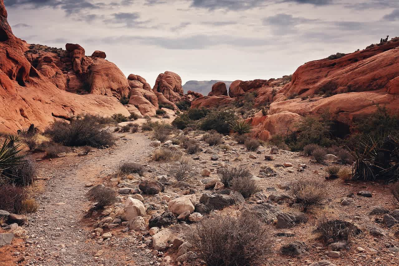 Top 6 Hiking Trails in Henderson, Nevada