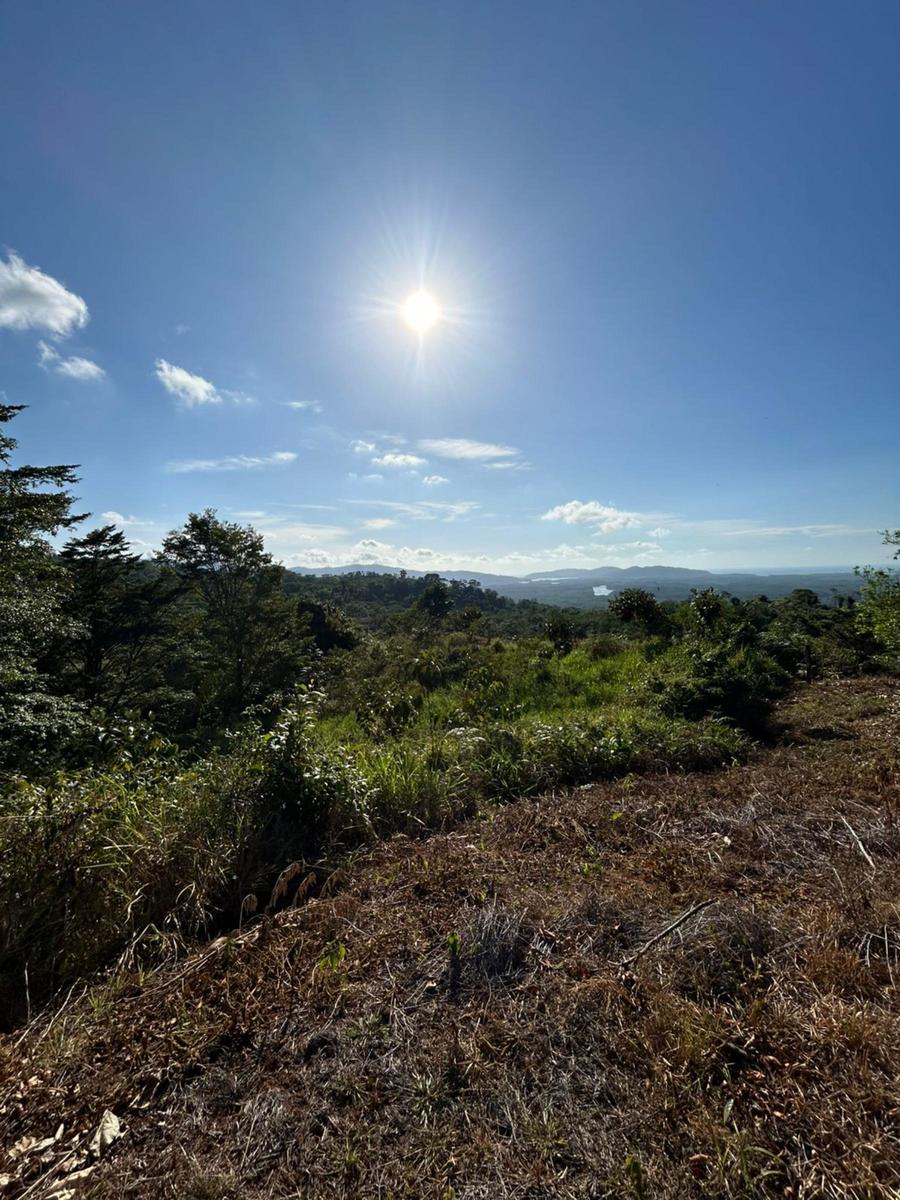 Waterfall Eco Development Land, Osa, Puntarenas