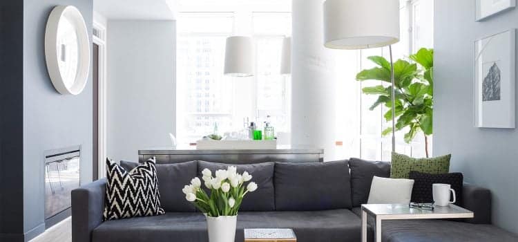 Shopping Guide: A Dapper Dwelling