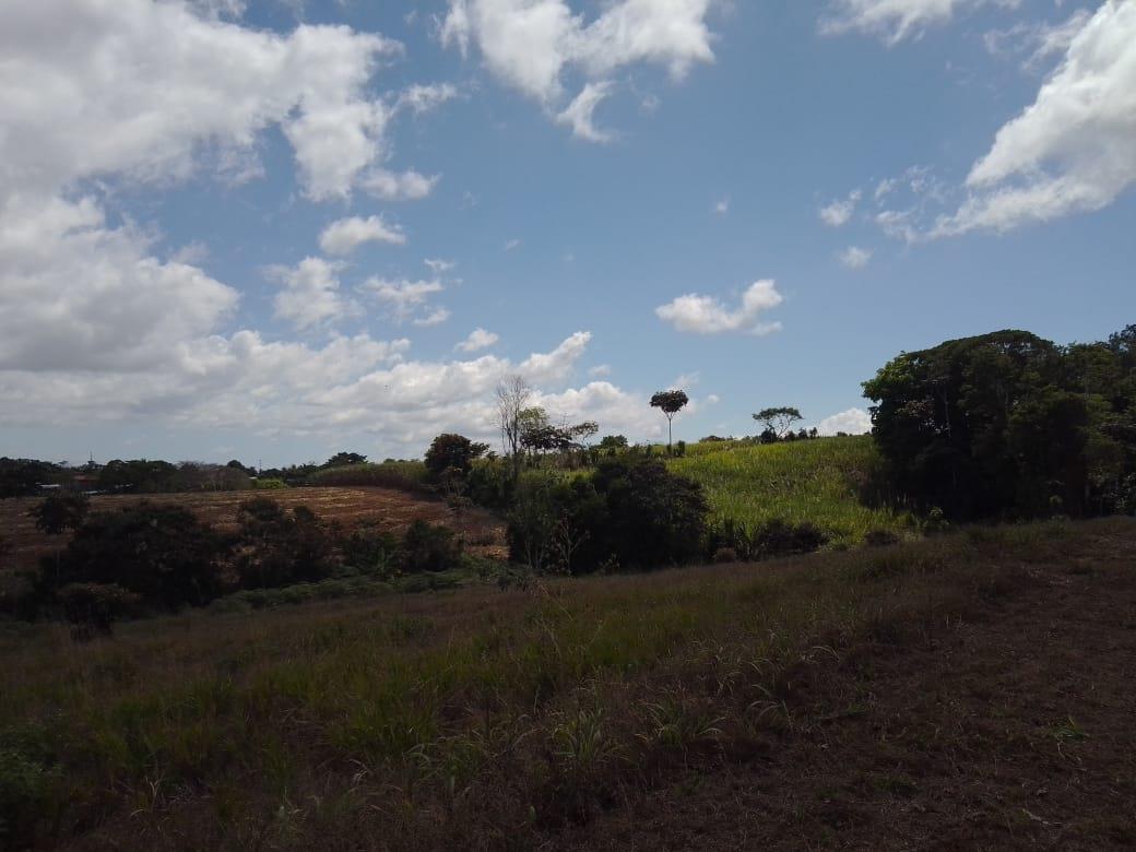 Mountain Fruit Farm Lagoon, Perez Zeledon, San Jose