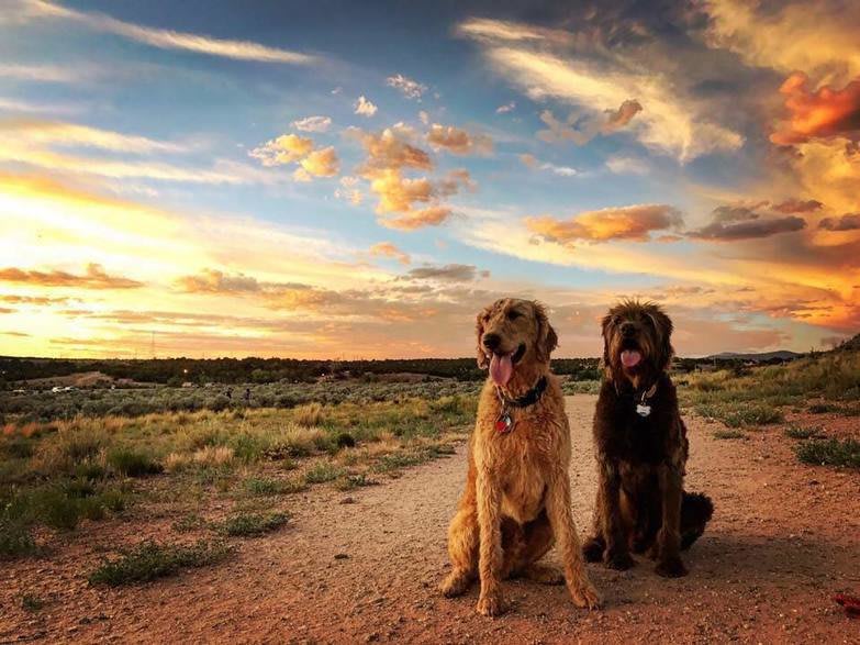 Santa Fe Dog Parks 