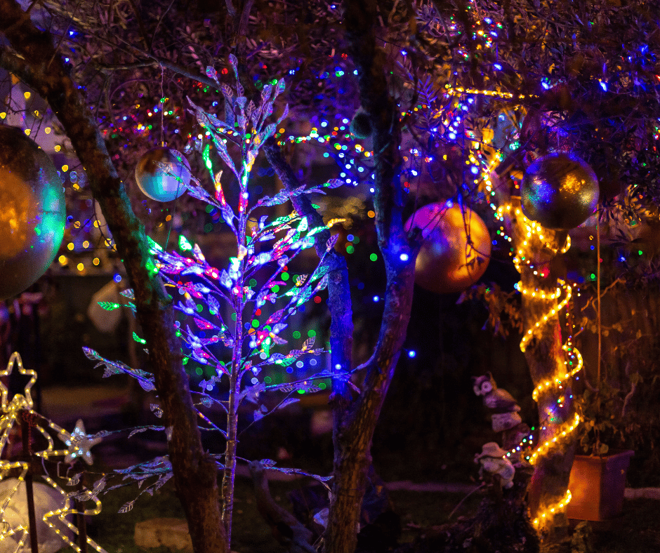 Holiday Season Full of Light
