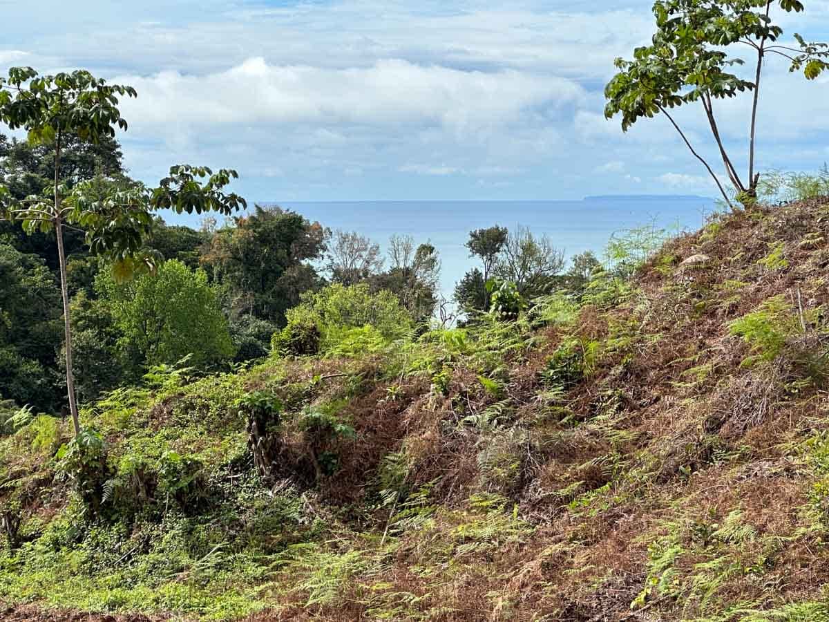 Ocean view, immaculately prepared, jungle and river lot in Ojochal. Ready To Build!.