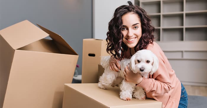 Moving With Your Pets? Avoid These Mistakes