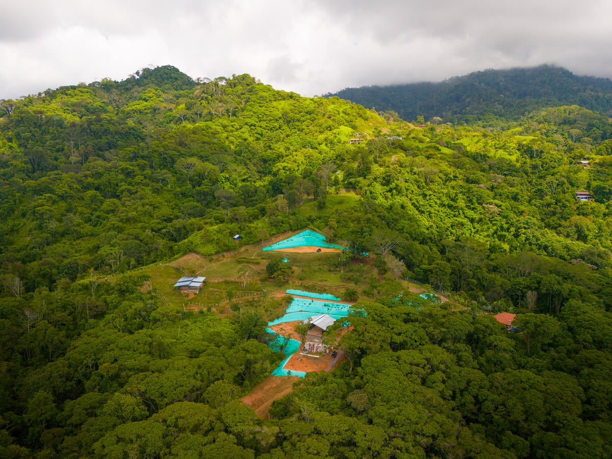 Oceanview Homestead for Sale, Tres Rios, Costa Rica