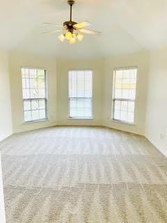 Empty carpeted room with three windows and a ceiling fan.