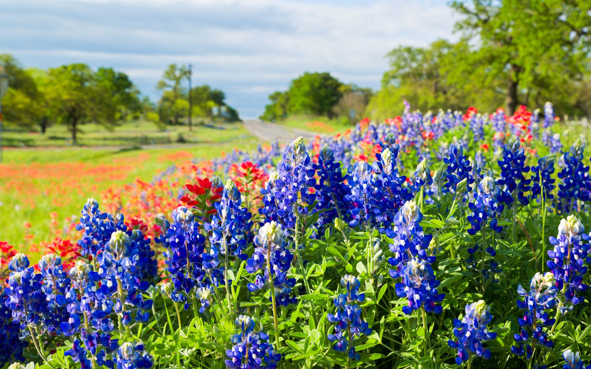 Fredericksburg TX Community Overview