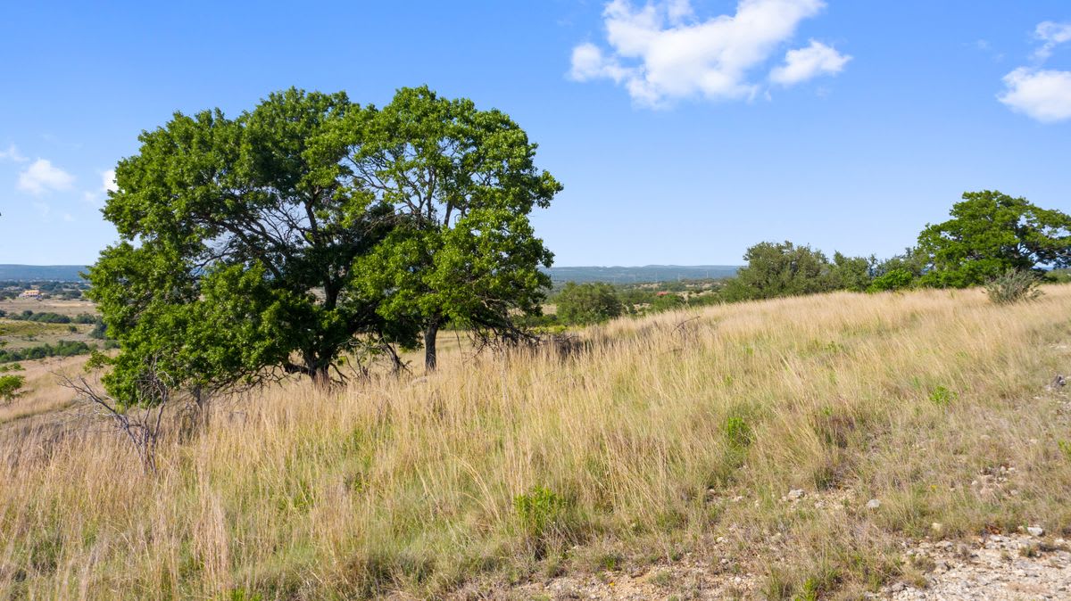 4501 US HWY 281 | 230.93 ACRES