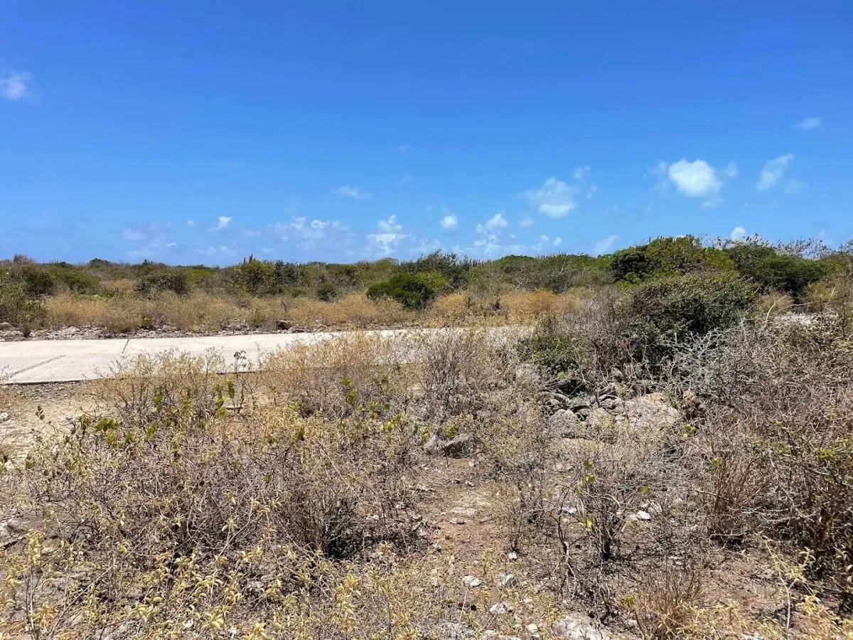 Anegada Land 