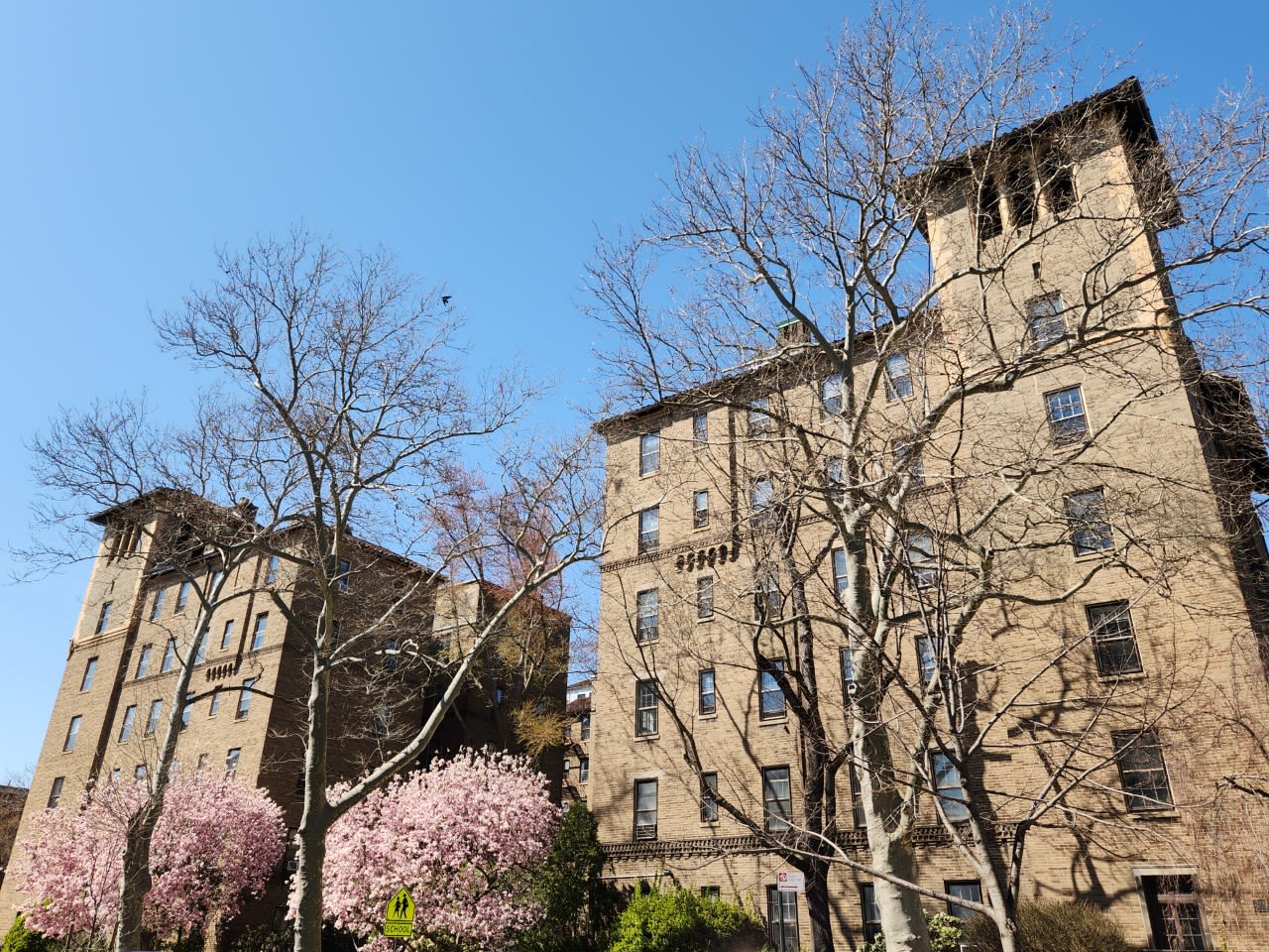 Jackson Heights