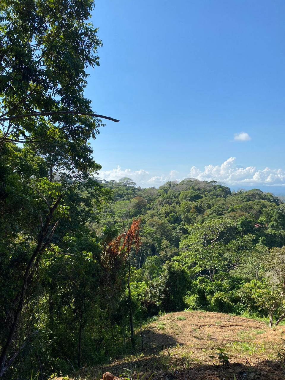 Stunning Ocean view & Mountain view property