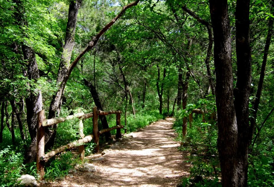 The Best Hiking Trails and Spots in Austin 