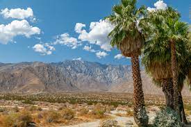 Exploring the different neighborhoods in Palm Springs: 