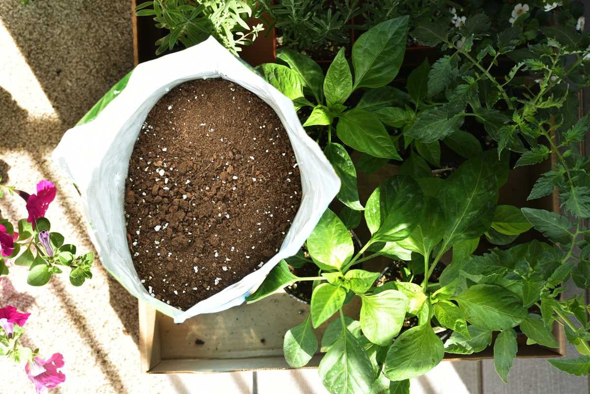 Gardening Myths and Facts Nest Realty - NEST Magazine