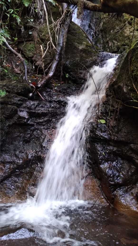Vast Mountain Farm Acreage, Heredia