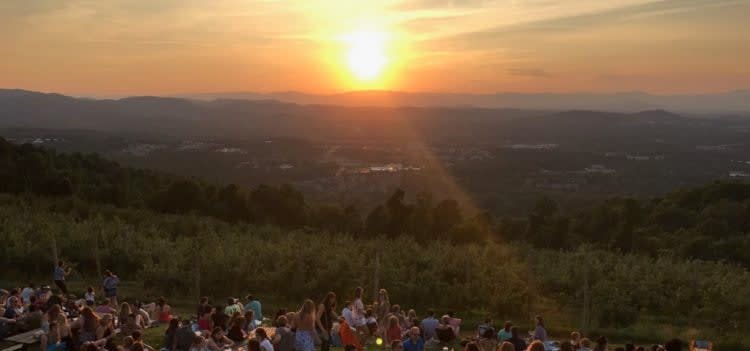 Charlottesville Summer Bucket List: Carter Mountain