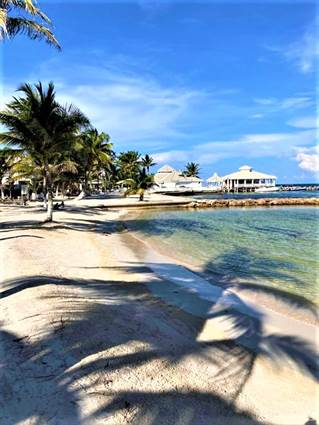 The Eagle Ray Reef House at Alaia Belize - A Marriott Autograph Collection®