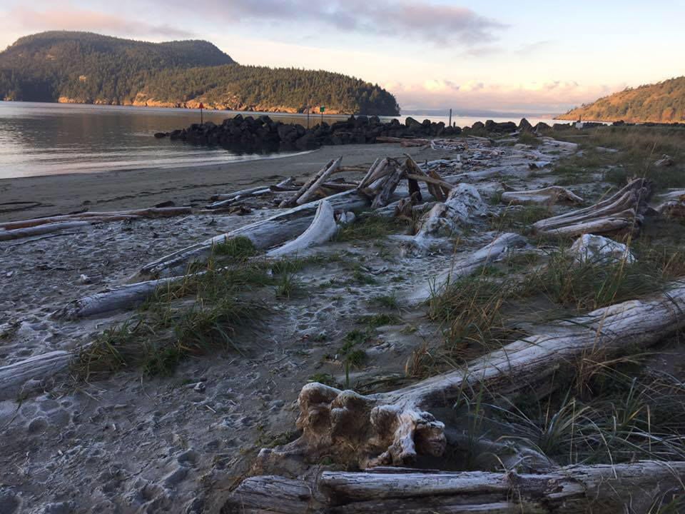 Anacortes Skyline Neighborhood
