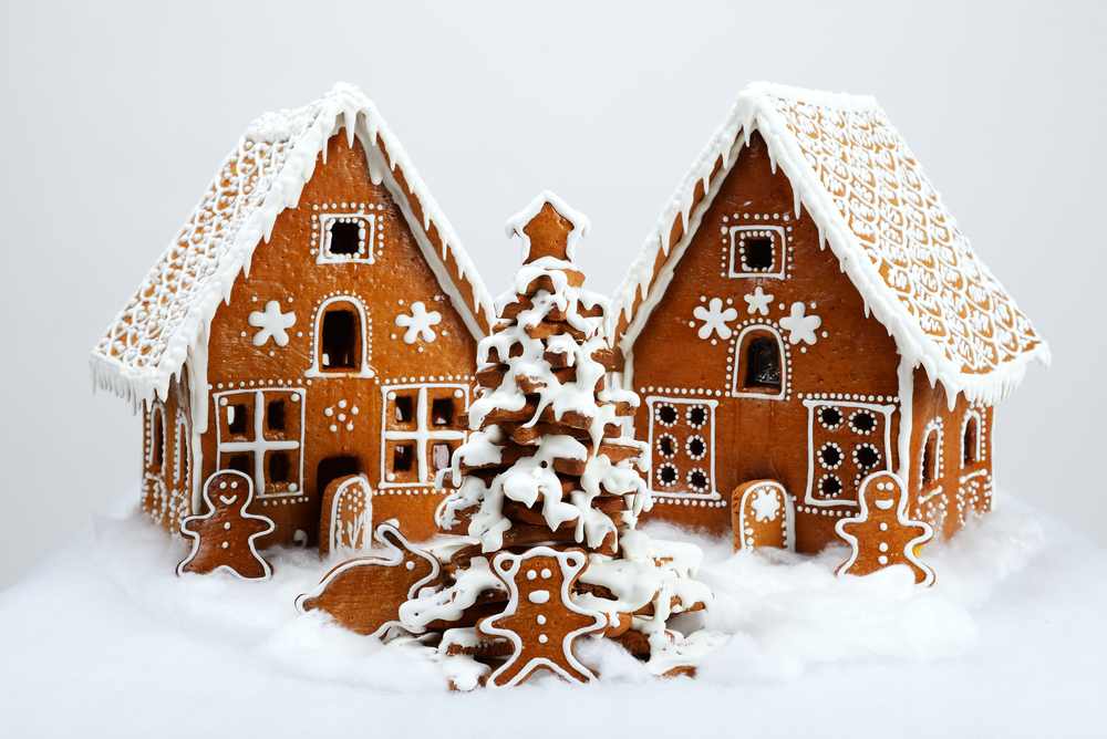 Gingerbread City Epilepsy Foundation Fundraiser