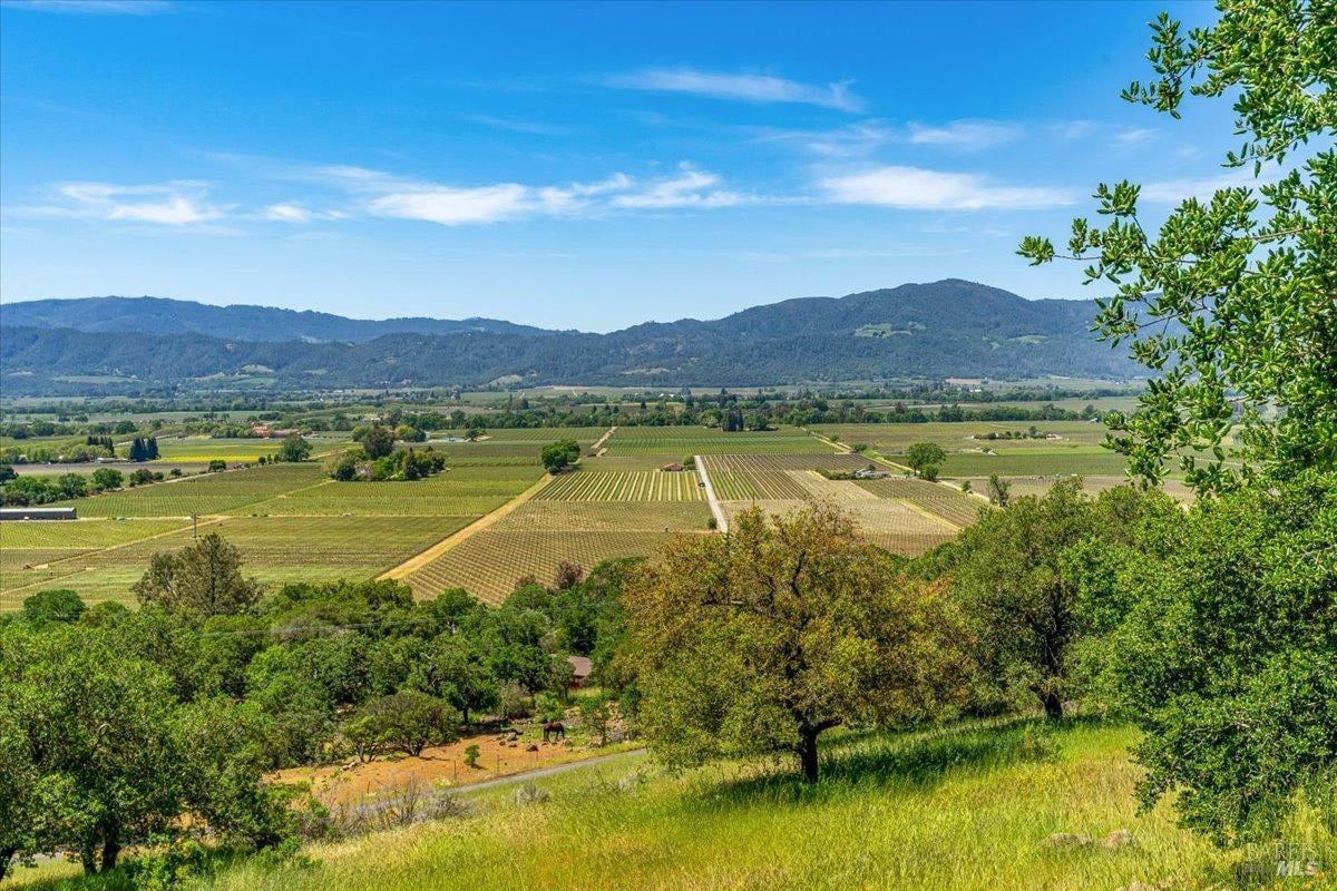 Silverado Trail, Napa