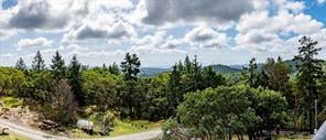 4750 Talon Ridge