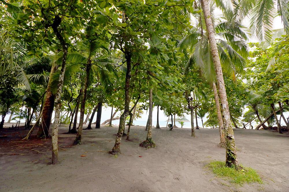 Manuel Antonio Beachfront Hotel