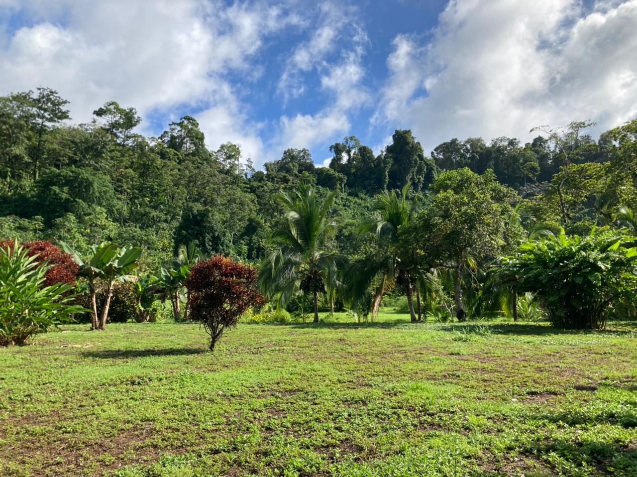  Eden Corcovado, Unique Beachfront from Paradise!