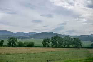 The Transition: Urban to Rural Living